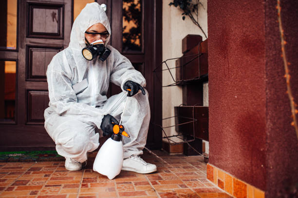 Reliable Wasp Removal contractor in Oxford, AL by Show Me Pest Control