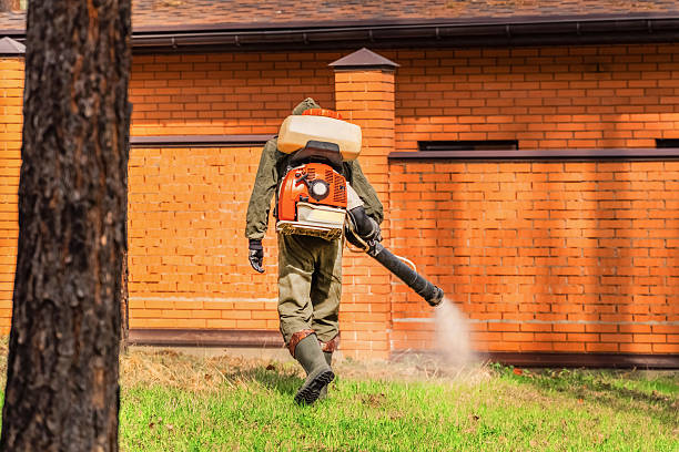 Top rated local Wasp Removal specialists in Oxford, AL